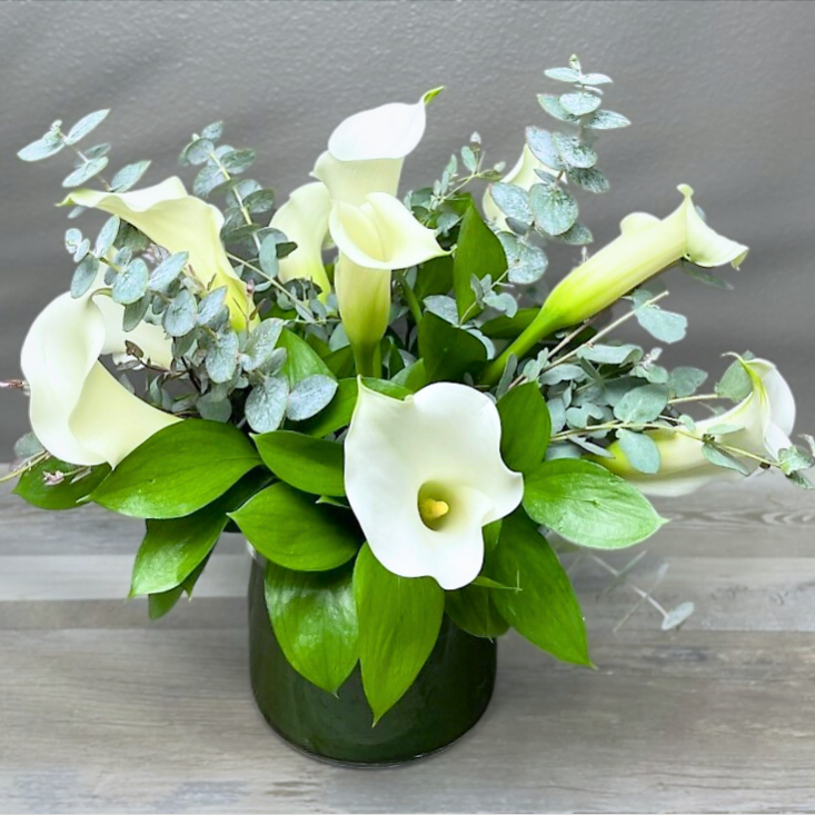 Cala Lily