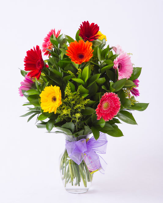 Dozen Gerbera Daisy