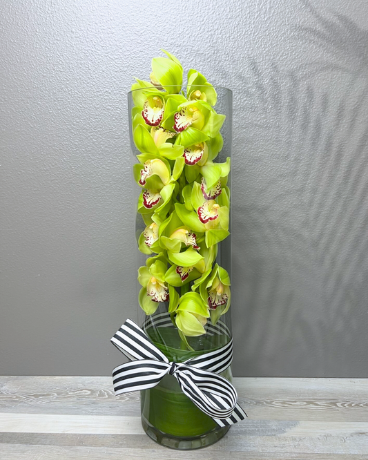 Irresistible Orchid