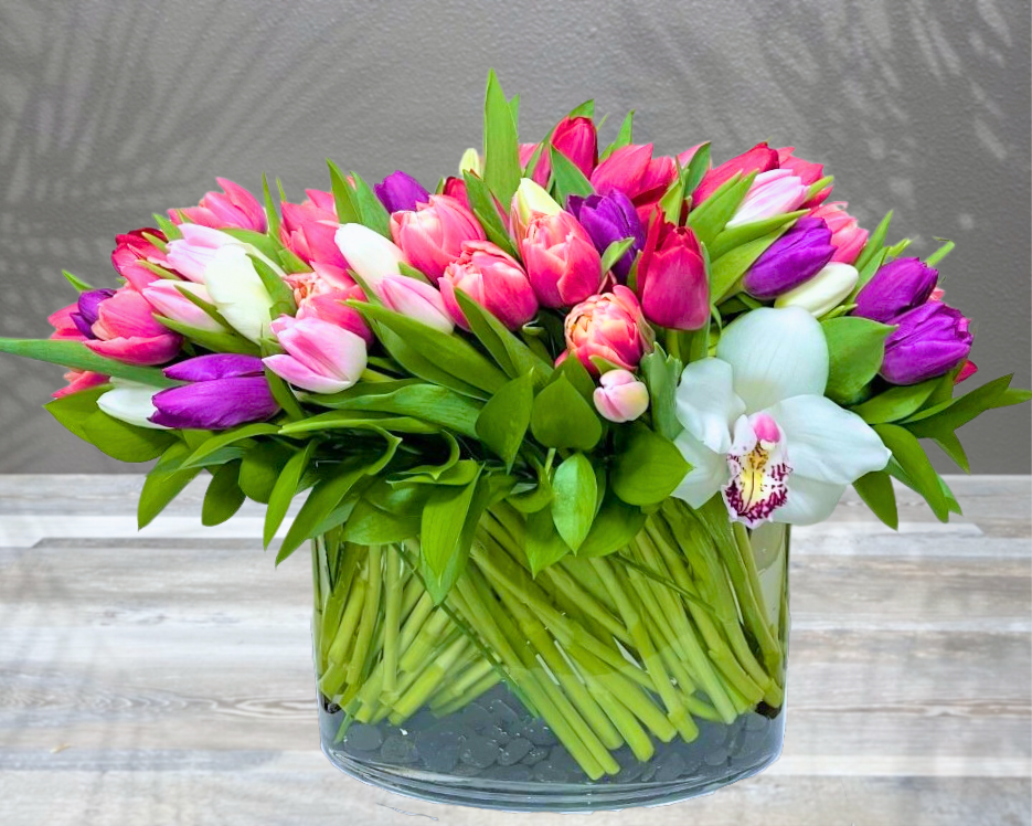 A Tale of Tulips