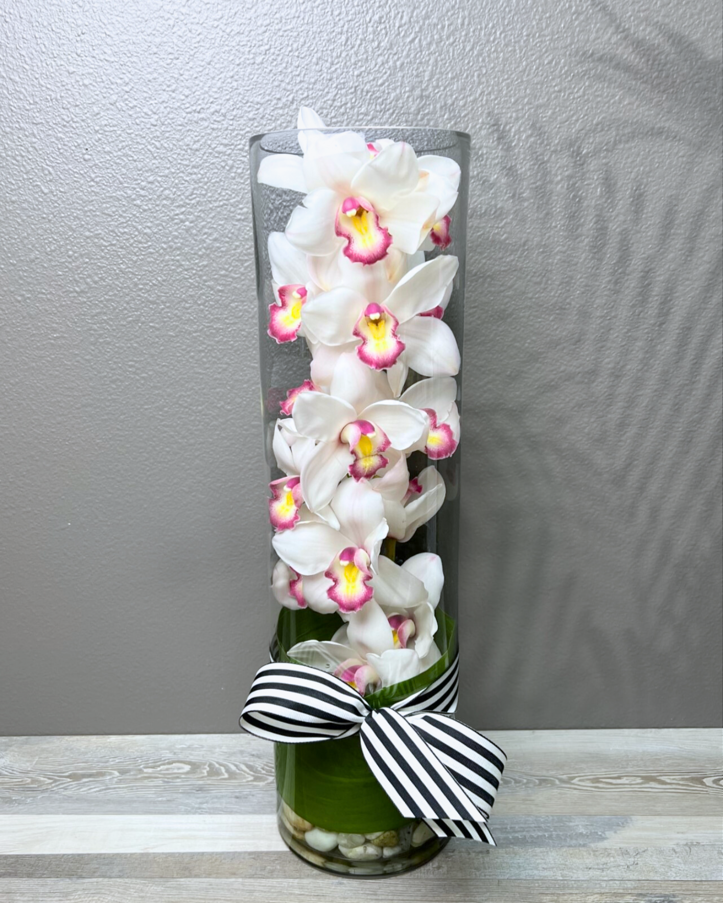 Irresistible Orchid